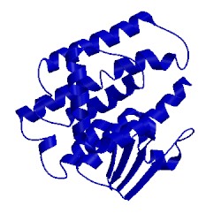 Image of CATH 3f6f
