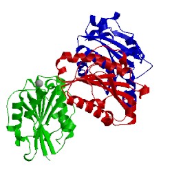 Image of CATH 3f74