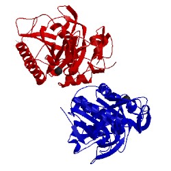 Image of CATH 3f7o