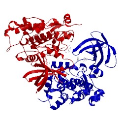 Image of CATH 3f7z