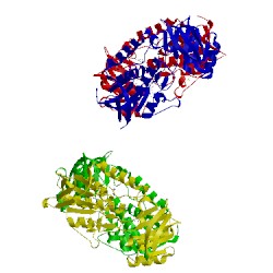 Image of CATH 3f8d