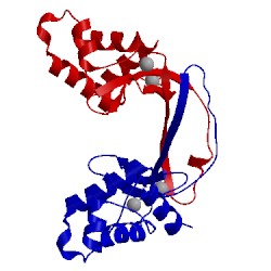 Image of CATH 3f8n