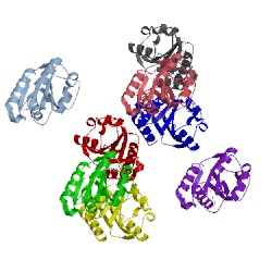 Image of CATH 3f90