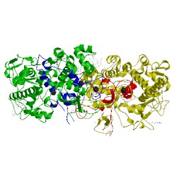 Image of CATH 3f9p