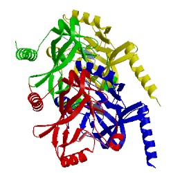 Image of CATH 3f9w