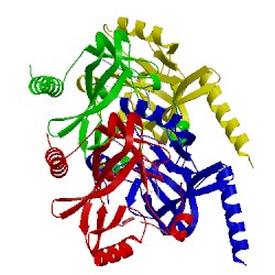 Image of CATH 3f9x