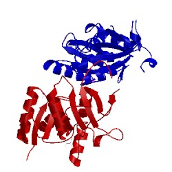 Image of CATH 3fa2