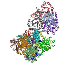 Image of CATH 3fa4