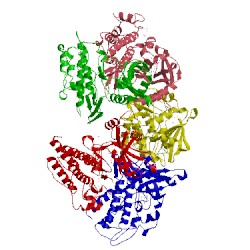 Image of CATH 3faa