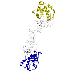 Image of CATH 3fbd