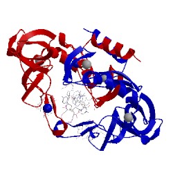 Image of CATH 3fc3