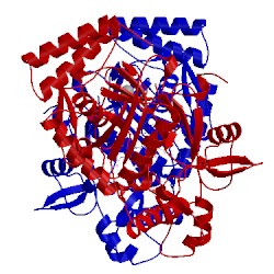 Image of CATH 3fc5