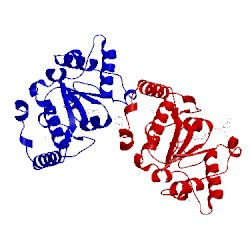 Image of CATH 3fcl