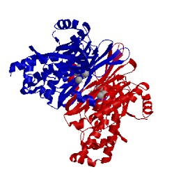 Image of CATH 3fd5