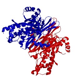 Image of CATH 3fd6