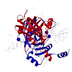 Image of CATH 3fde