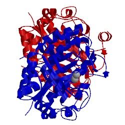 Image of CATH 3fdg