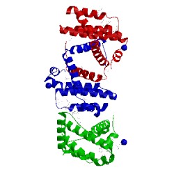 Image of CATH 3fdm