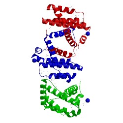 Image of CATH 3fdm