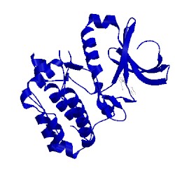 Image of CATH 3fdn