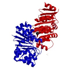 Image of CATH 3fe2