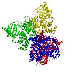 Image of CATH 3fef