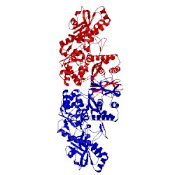 Image of CATH 3ffe
