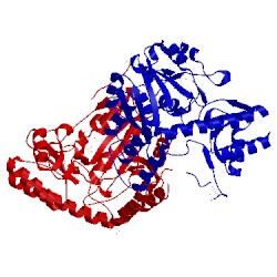 Image of CATH 3ffh