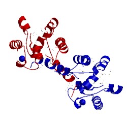 Image of CATH 3fh3