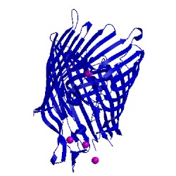 Image of CATH 3fhh