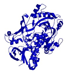 Image of CATH 3fim