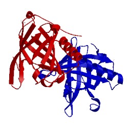 Image of CATH 3fiq