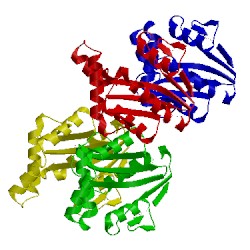 Image of CATH 3fix