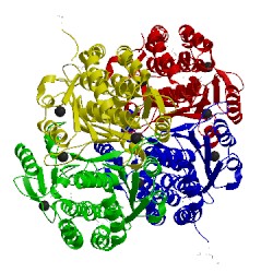 Image of CATH 3fj1