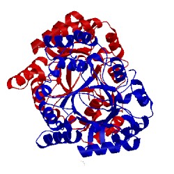 Image of CATH 3fjn
