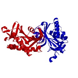 Image of CATH 3fjp