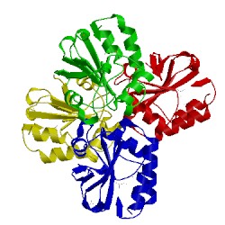 Image of CATH 3fkf