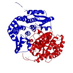 Image of CATH 3fkj