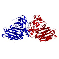 Image of CATH 3fkv
