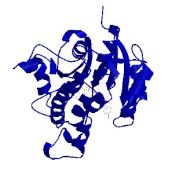 Image of CATH 3fnh