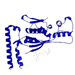 Image of CATH 3fnn