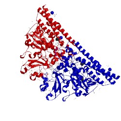 Image of CATH 3fo3