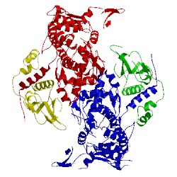 Image of CATH 3foe