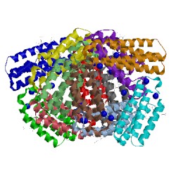 Image of CATH 3foo