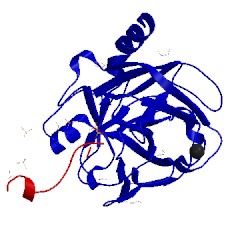 Image of CATH 3fp8