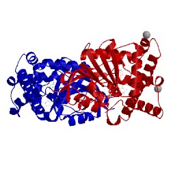 Image of CATH 3fpf