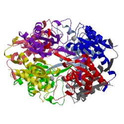 Image of CATH 3fpv