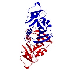 Image of CATH 3fqc