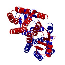 Image of CATH 3fr3