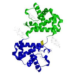 Image of CATH 3fs4